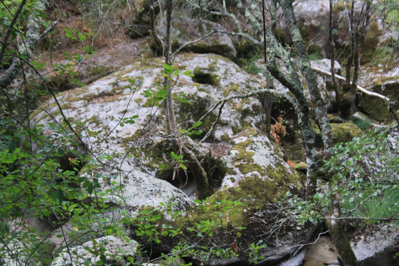 Retiro Da Arminda Villa Canedo  ภายนอก รูปภาพ